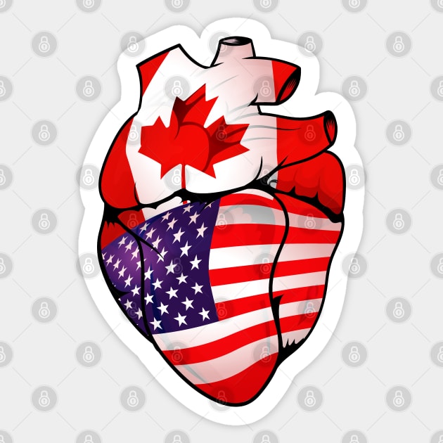 American Canadian Split Anatomical Heart With Flags - USA-Canada Sticker by Biped Stuff